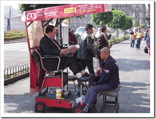 Takie widoczki można spotkać co chwilę