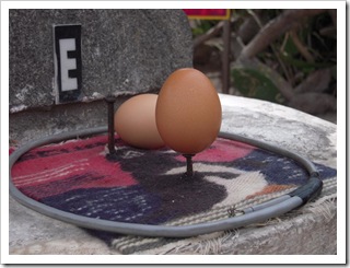 Postawiłem jajko na gwoździu