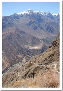 Droga w dół kanionu Colca oraz oaza Sangalle