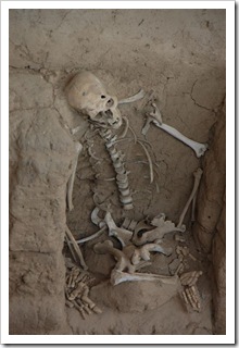 Elegancki kościotrup żony Króla Sipan