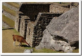 Państwowa a jaka ładna