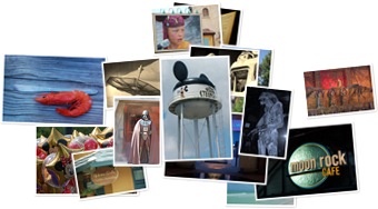 Wyświetl album Centralna i północna Floryda