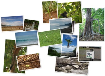 Wyświetl galerię Corcovado