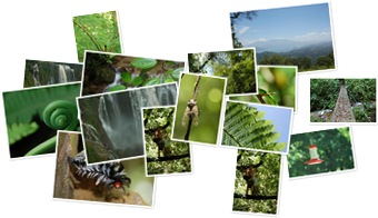 Wyświetl galerię Wodospad Pulhapanzak i Park Narodowy Cerro Azul Meambar