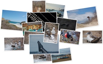 Wyświetl galerię Puerto Lopez i okolice