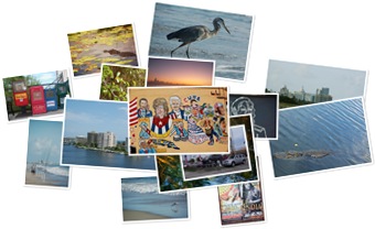 Wyświetl galerię Południowa Floryda