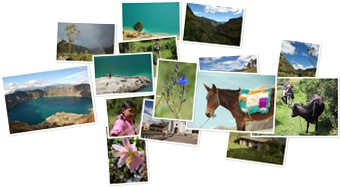 Wyświetl galerię Quilotoa trek