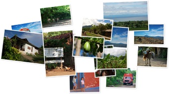 Wyświetl galerię Lago de Nicaragua
