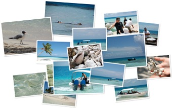 Wyświetl album Silk Caye