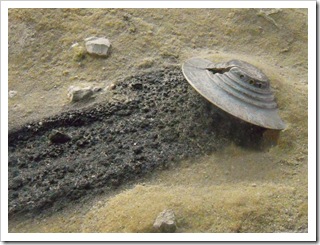 Katastrofa w Roswell w 1947 (model)