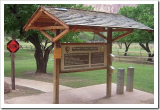 Ot i całe biuro campingu