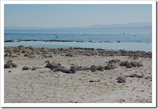 Salton Sea