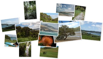 Wyświetl galerię Nowa Zelandia - Northland