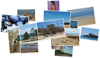 Wyświetl galerię Abel Tasman National Park