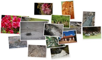 Wyświetl galerię Rotorua i okolice