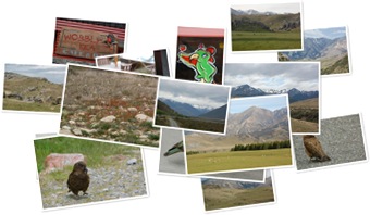 Wyświetl galerię Arthur's Pass