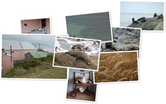 Wyświetl galerię Kaikoura