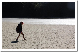 Niełatwo się idzie po muszelkach