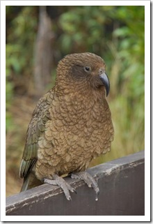 Winowajczyni w całej krasie