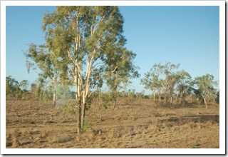 Krajobraz widziany z Sunlandera