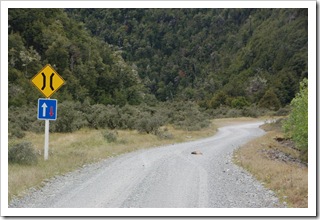 Szutrowa droga a na niej opos