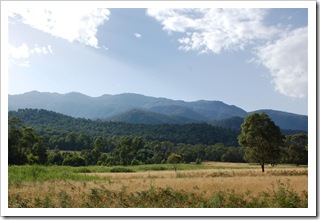 Góra Kościuszki widziana z Geehi