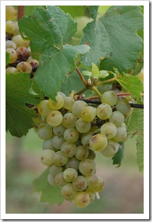 Już zaczyna się sezon