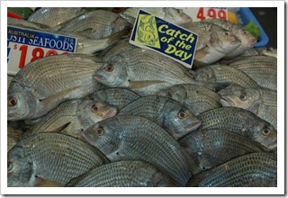 Sydney Fish Market