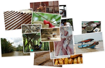 Wyświetl galerię Okolice Sajgonu