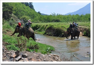 Jedziemy na słoniach (foto Dobrochna)