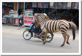 Przedziwne zastosowania motorka nr 1