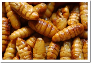 Robaczki gotowe do spożycia